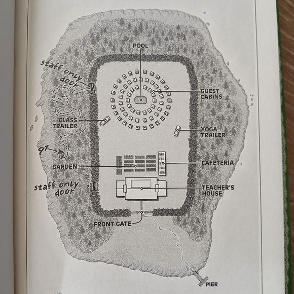 Stephanie Wrobel 'This Might Hurt' Novel - Green Cover Hard Back Book Thriller - Picture 13 of 13